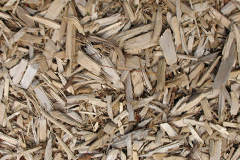 biomass boilers Rosscor